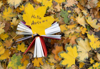 Hello, autumn. I love autumn and books. Books stand vertically in the park on fallen leaves. Back...