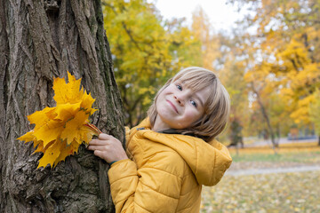 happy child, junior schoolboy, with a bouquet of yellow leaves near a tree in the park. Sunny...