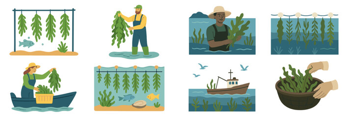 Seaweed harvesting in a coastal area during sunny midday with a variety of activities by local fishermen and farmers © Mark