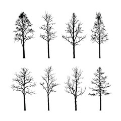 Fototapeta premium Eight bare trees are shown in silhouette against a white background, displaying different shapes and branch structures.