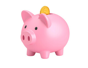 Pink Piggy Bank with Golden Coin