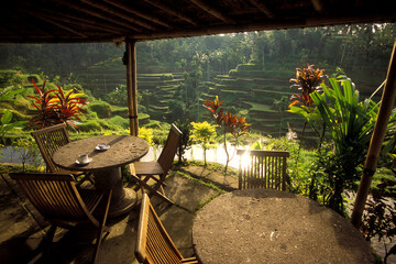 INDONESIA BALI TEGALLALANG RICE TERRACE