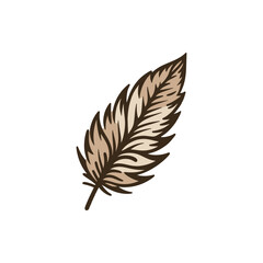 Artistic illustration of a detailed feather, showcasing intricate lines and textures, ideal for nature-themed designs