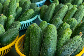 Fresh green cucumbers neatly arranged in colorful baskets at a local market. Crisp cucumbers displayed in baskets reflecting the essence of freshness and vitality.