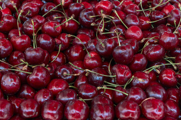 Fresh cherries piled high showcasing the bounty of summer harvest. Glossy red cherries arranged in abundance at a local market. Juicy cherries symbolizing the sweetness and richness of life.