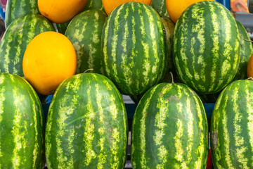 Watermelons and melons at the market. A colorful array of fresh melons and watermelons. Melons and watermelons in a lively market atmosphere. A colorful array of fresh melons and watermelons.