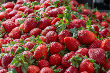 Fresh Strawberries at the Market. A Colorful Display of Ripe Strawberries Inviting You to Taste the Sweetness of Summer. The Joy of Harvesting Fresh Strawberries from Local Farms.