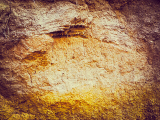 Soil as a natural background.