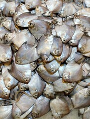 Fresh fish on the market