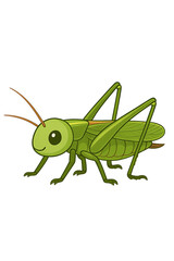 Chibi Farm Animal – Cute Cartoon Grasshopper