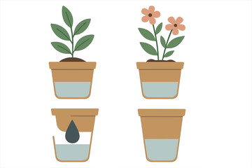 Plant watering guide showing how to care for potted plants with illustrations of soil and water levels