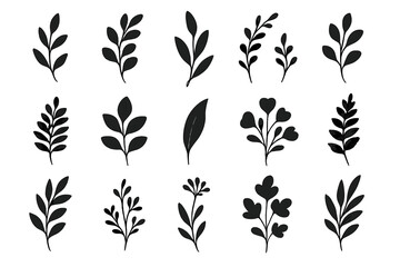 Creative black leaf silhouettes perfect for botanical illustrations or design projects