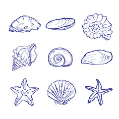 Marine-themed graphic design showing starfish on beach sand. Background features oceanic elements with handcrafted, vintage-inspired texture.