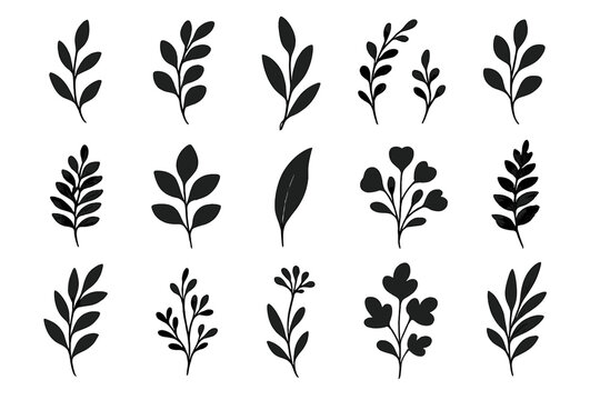 Creative black leaf silhouettes perfect for botanical illustrations or design projects
