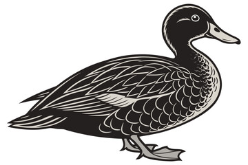 Realistic black duck side profile illustration for wildlife and nature designs