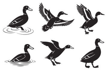Flat icon set featuring a black duck in various poses and styles
