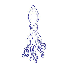 Hand-drawn squid design showing intricate tentacles and ink. Perfect for nautical patterns, textiles, and ocean-themed decorative backgrounds.