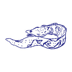 Vector graphic depicting a marine predator eel swimming through saltwater reefs. This detailed artwork emphasizes conservation and natural aquatic life in ocean environments.