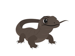 Cute monitor lizard on white background.