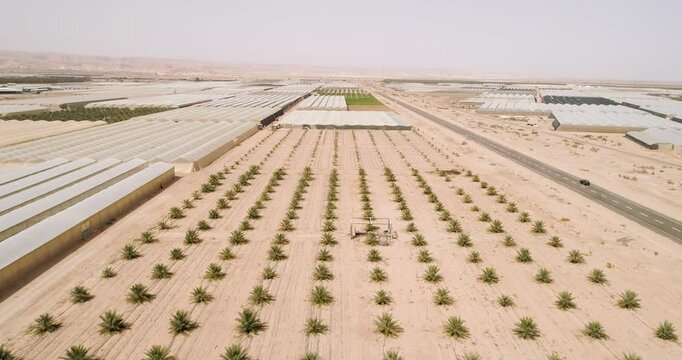Aerial view of young palm trees and greenhouse, Paran, Negev desert, Israel.