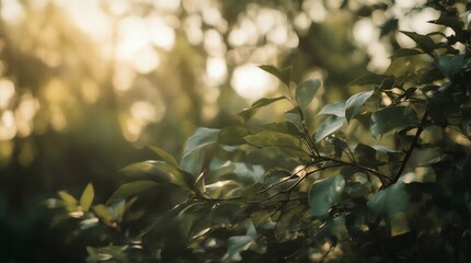 fresh green leaves in spring and bokeh background