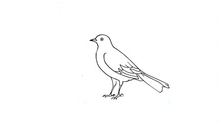 Fototapeta premium Simple line drawing of a bird standing, facing left with its tail feathers visible