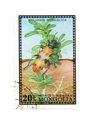 A vintage postage stamp from Mongolia isolated on a white background.