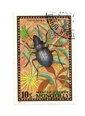 A vintage postage stamp from Mongolia isolated on a white background.