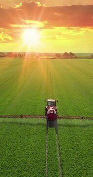 Aerial view of beautiful landscape with a crop sprayer applying pesticide in a wheat field at sunset, with a road in the background and cars and trucks passing by. Drone shot flying over wheat field