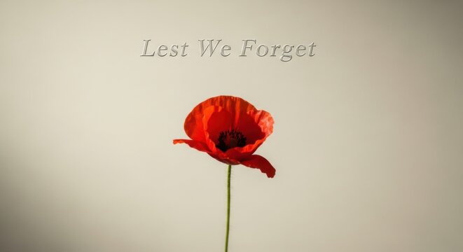 Lest We Forget the Fallen Soldiers Remembrance Day Poppy