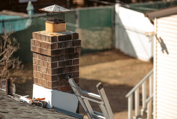 A shingled roof features a protruding vent next to a brick chimney. Sunlight casts soft shadows...
