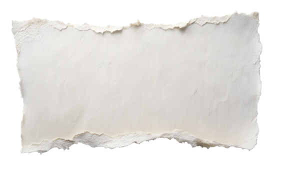 Torn Piece of Textured White Paper on Transparent Background