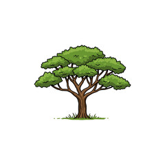 Obraz premium Colorful Icon of African Sapele Tree with No White