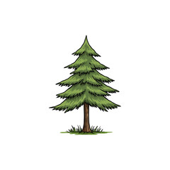 Obraz premium Colorful Icon of Alaska Cedar Tree with No White