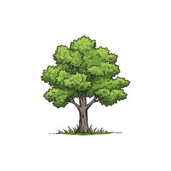 Obraz premium Colorful Eastern Cottonwood Tree Icon with No White Background