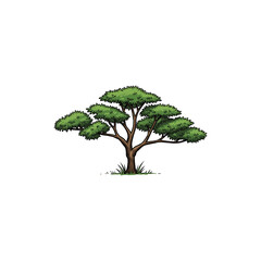 Colorful Icon of Umbrella Thorn Acacia Tree with Wide Crown and No White Fill