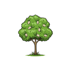 Colorful Icon of White Mulberry Tree with Berry Clusters and No White Elements