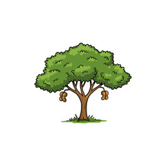 Colorful Icon of Wild Tamarind Tree with Fern-like Leaves and No White Color