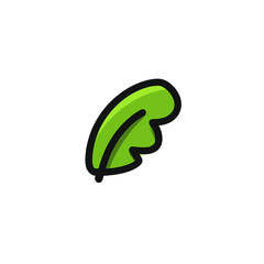 Green leaf displays simplicity on white background clarity