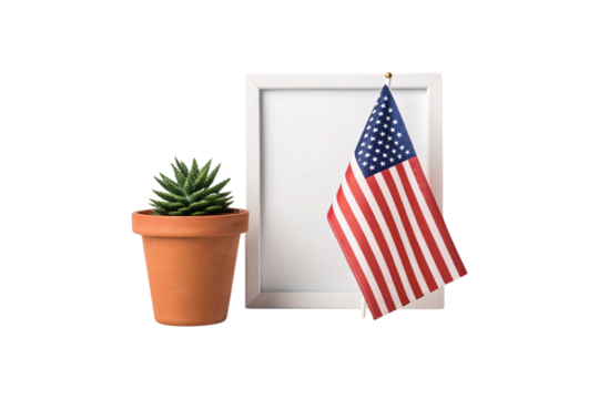 Small succulent plant in terracotta pot positioned next to American flag in white picture frame backdrop, isolated on a transparent background