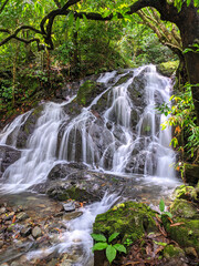 waterfall in the Forest, A small waterfall in the heart of a lush tropical forest, gently flowing over the rocks.