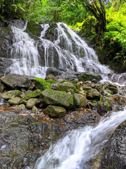 A small waterfall in the heart of a lush tropical forest, gently flowing over the rocks.