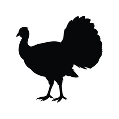 A bold, solid black silhouette of a turkey, perfect for use in Thanksgiving-themed designs, educational materials, or any project requiring a simple, impactful image of this iconic bird.