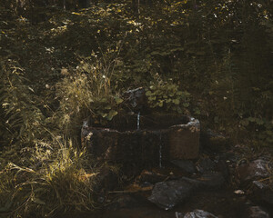 Old stone spring trickles water in shady forest undergrowth
