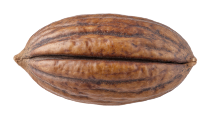 Pecan nut isolated on transparent background with natural brown shell texture and shape