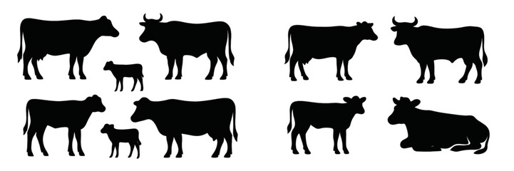 Silhouettes of various cows and calves depicting rural life in a pasture during daytime