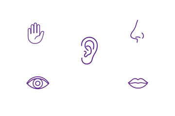 Human senses icon set. Vision eye, smell nose, hearing ear, touch hand, taste mouth with tongue. set of human five senses icon.