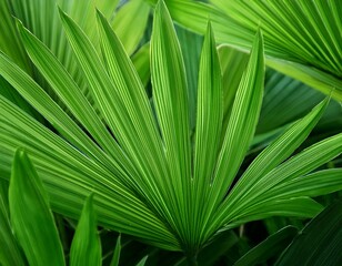 vibrant green foliage with slender pointed leaves showcasing intricate leaf venation and a lush texture