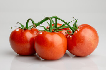 Fresh ripe tomatoes on vine isolated on white background
