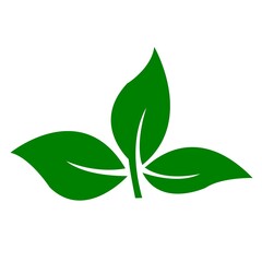 Simple Green Leaf Icon Nature Environment Ecology Symbol Design Element